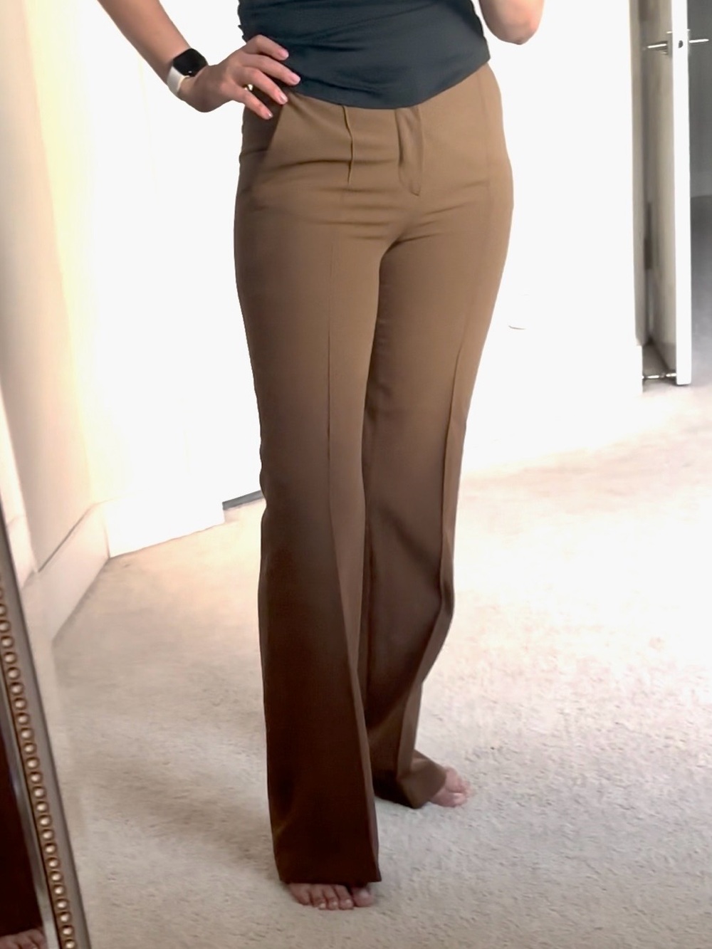 Zara Front Seam Pants
